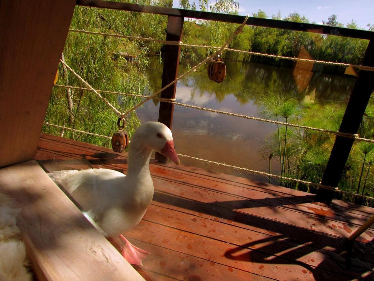 Glamping Cantabria Tunja Esterno foto